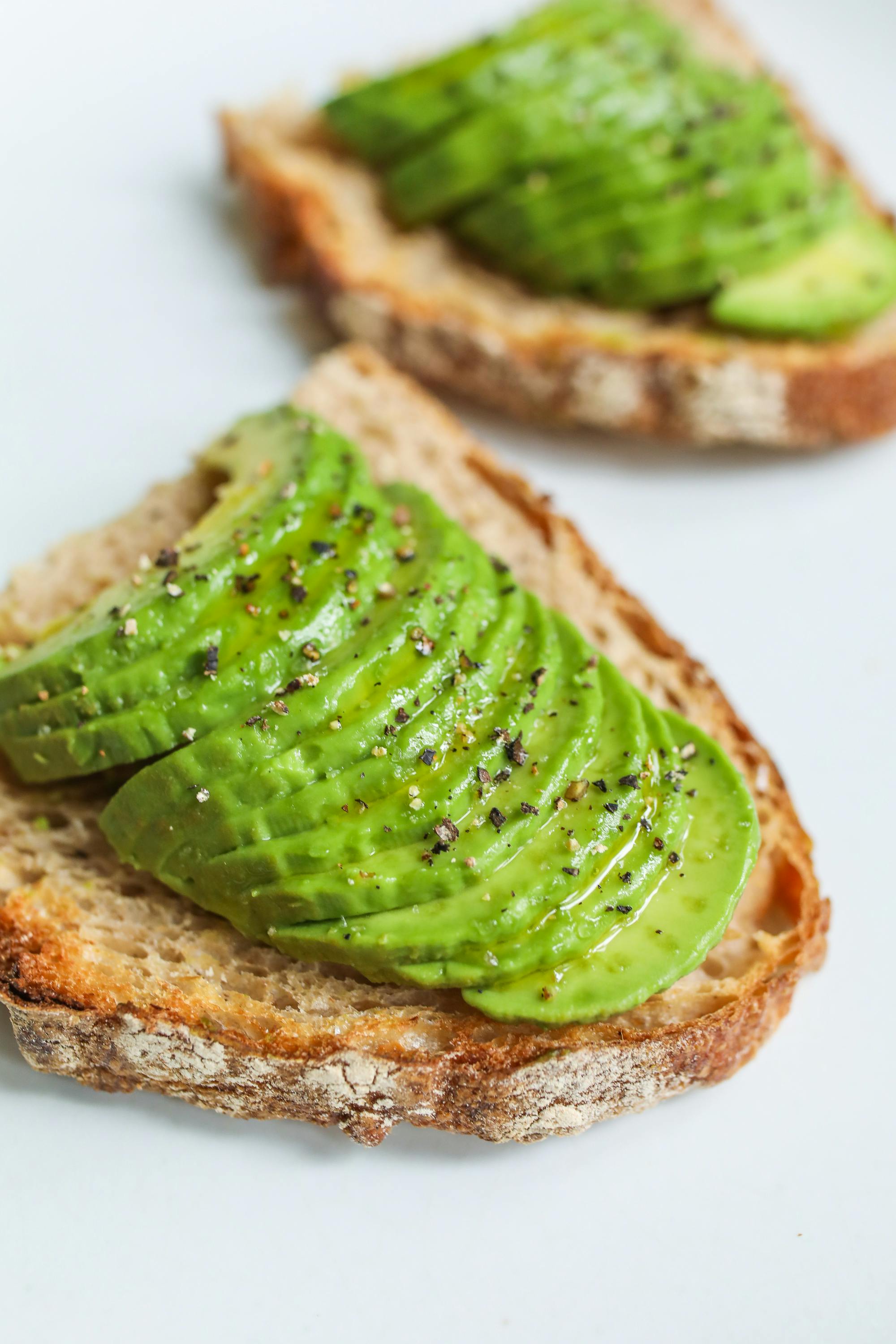 Plant Food for Sustainable Growth