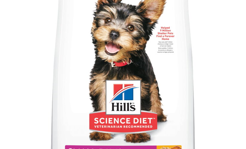 Top 5 Science Diet Puppy Food Options to Enhance Growth in 2025