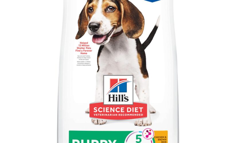 Best 5 Options for Hill’s Science Diet Puppy to Enhance Growth in 2025