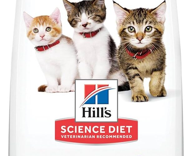 Best 5 Science Diet Kitten Food Options for Healthy Growth in 2025