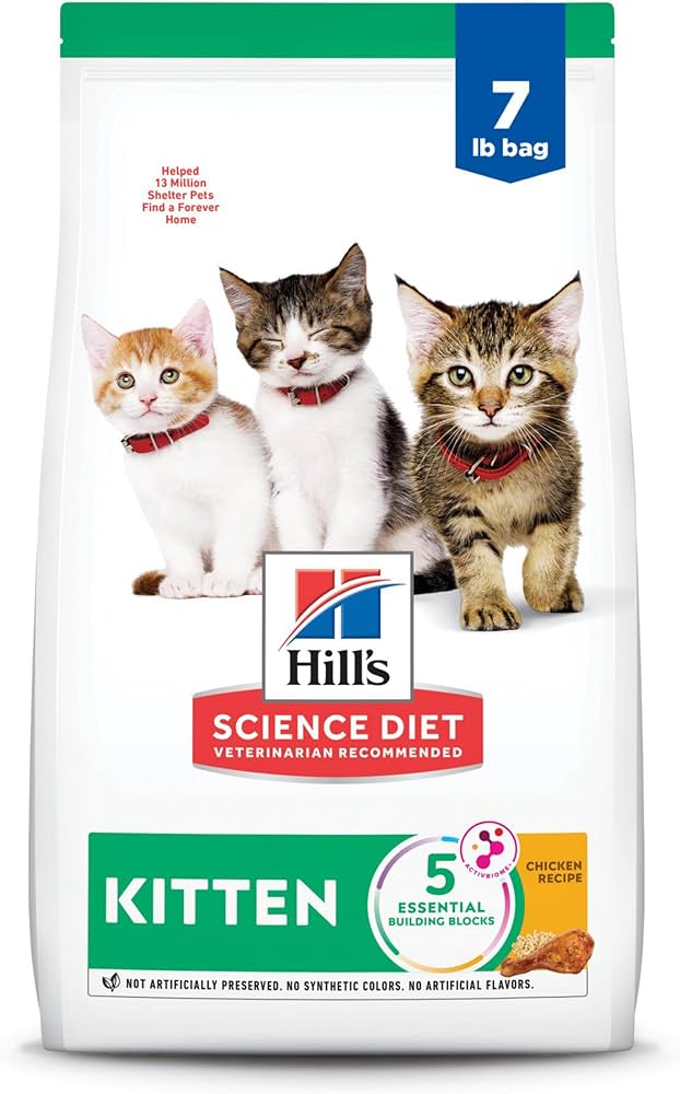 Best 5 Science Diet Kitten Food Options for Healthy Growth in 2025