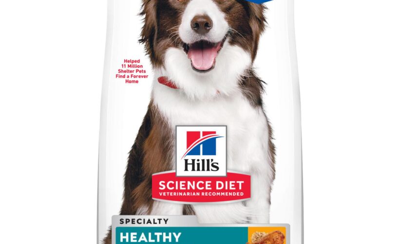 Top 5 Hills Science Diet Reviews: Effective Options for Optimal Pet Health in 2025