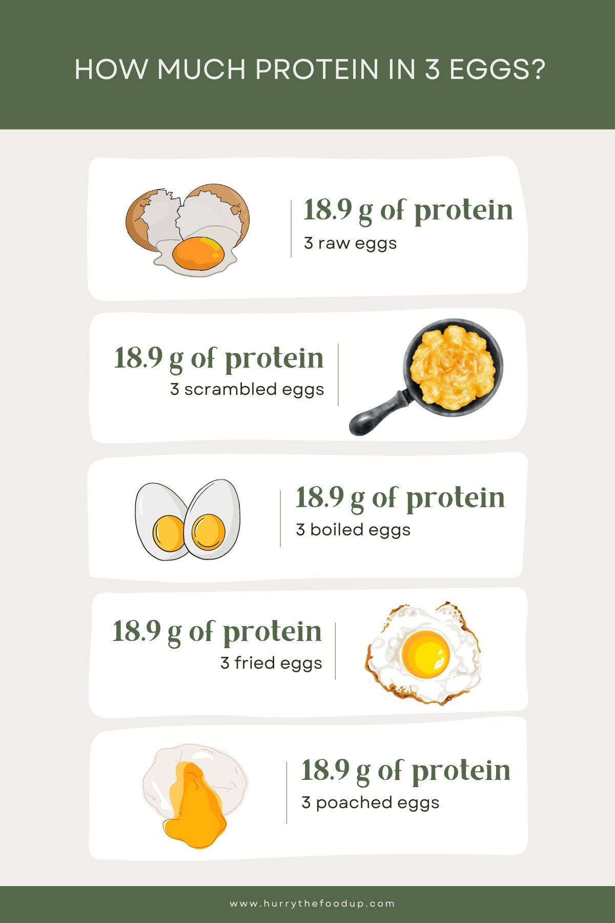 3 Eggs Protein