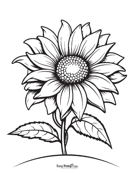 Smart Guide to Sunflower Coloring Pages: Discover Creative Ideas for 2025!