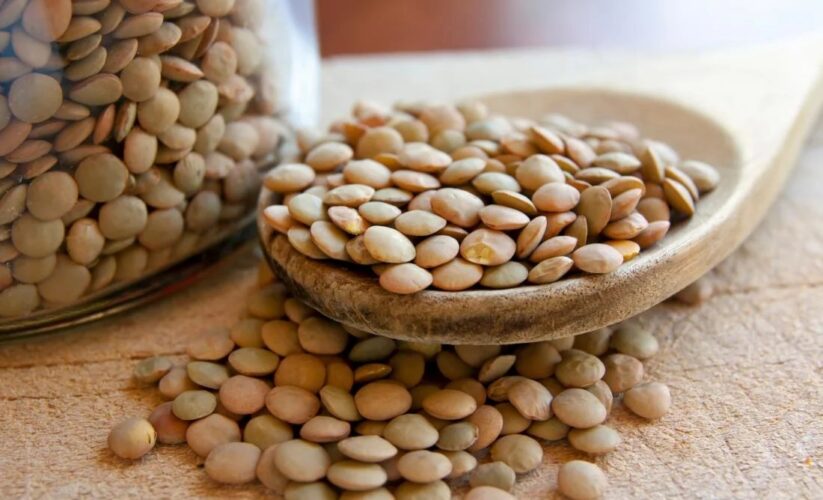 Comprehensive Guide to Lentils: Exploring Their Gluten-Free Benefits in 2025